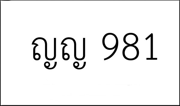 ญญ 981
